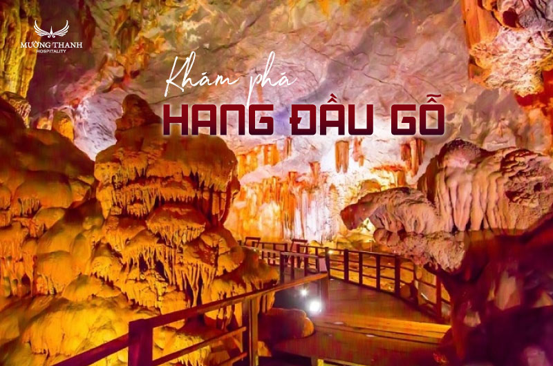 kham-pha-hang-dau-go